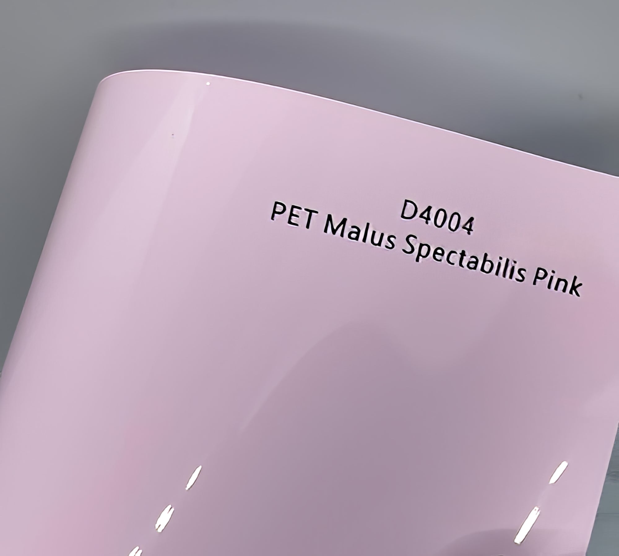 Malus Spectabilis Pink D4004 swatch